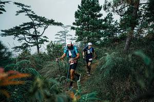 BIB: 
                            <button type="button" onclick="openModal(25260528)" class="btn btn-primary btn-sm float-right btn-popup" data-toggle="modal" data-target=".modal-high-quality">
                        <i class="fas fa-shopping-cart"></i> Add to Cart
                    </button>
                                            <button type="button" onclick="isThisMe(25260528, true)" class="btn btn-success btn-sm float-right btn-popup btn-isme hidden" data-toggle="tooltip" data-placement="bottom" title="นี่คือรูปของคุณใช่ไหม คลิกที่นี่เพื่อเอาเข้าอัลบั้ม">
                        <i class="fas fa-plus"></i> Add to album
                    </button>
                    <button type="button" onclick="isThisMe(25260528, false)" class="btn btn-warning btn-sm float-right btn-popup btn-isnotme hidden">
                        <i class="fas fa-ban"></i> Remove from album
                    </button>